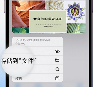 虞城apple维修中心分享iPhone文件应用中存储和找到下载文件