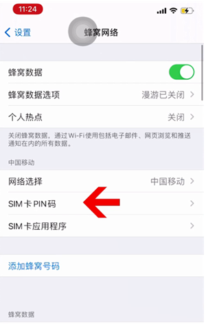 虞城苹果14维修网分享如何给iPhone14的SIM卡设置密码 