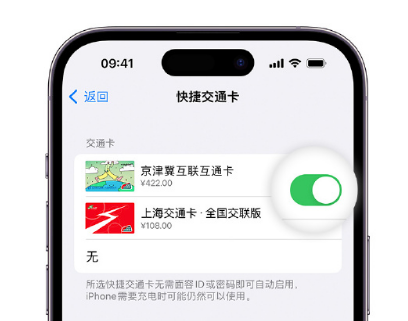 虞城apple维修点分享iPhone上更换Apple Pay快捷交通卡手绘卡面 