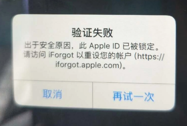 虞城iPhone维修分享iPhone上正常登录或使用AppleID怎么办 