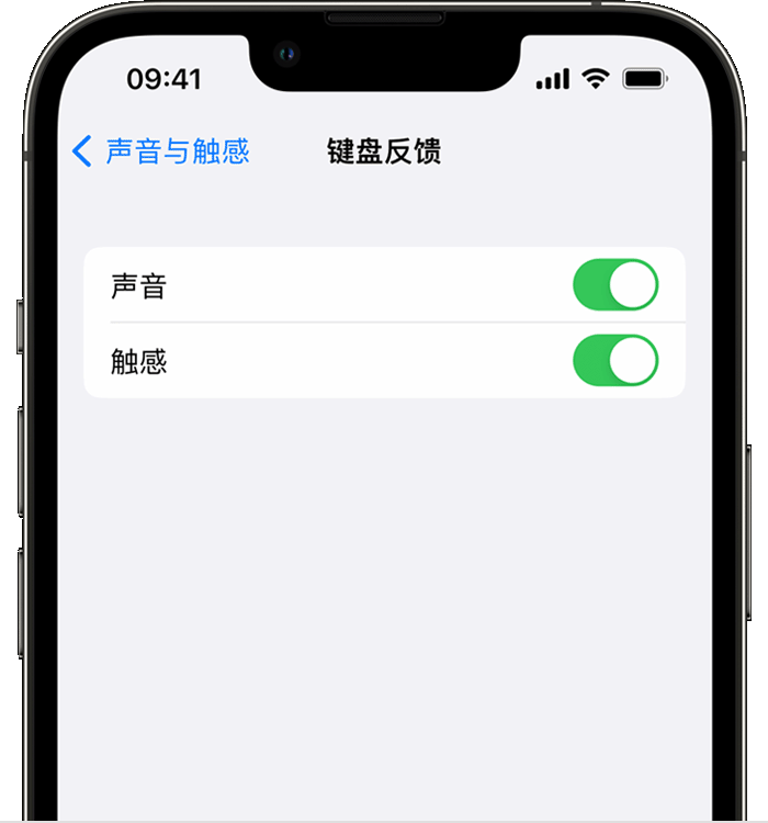 虞城苹果14维修分享iPhone 14 系列机型如何开启键盘声音或触感反馈 