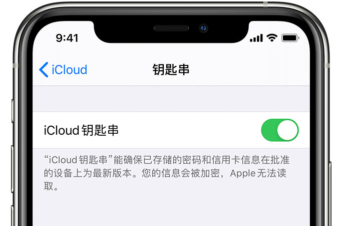 虞城苹果手机维修分享在 iPhone 上开启 iCloud 钥匙串之后会储存哪些信息 