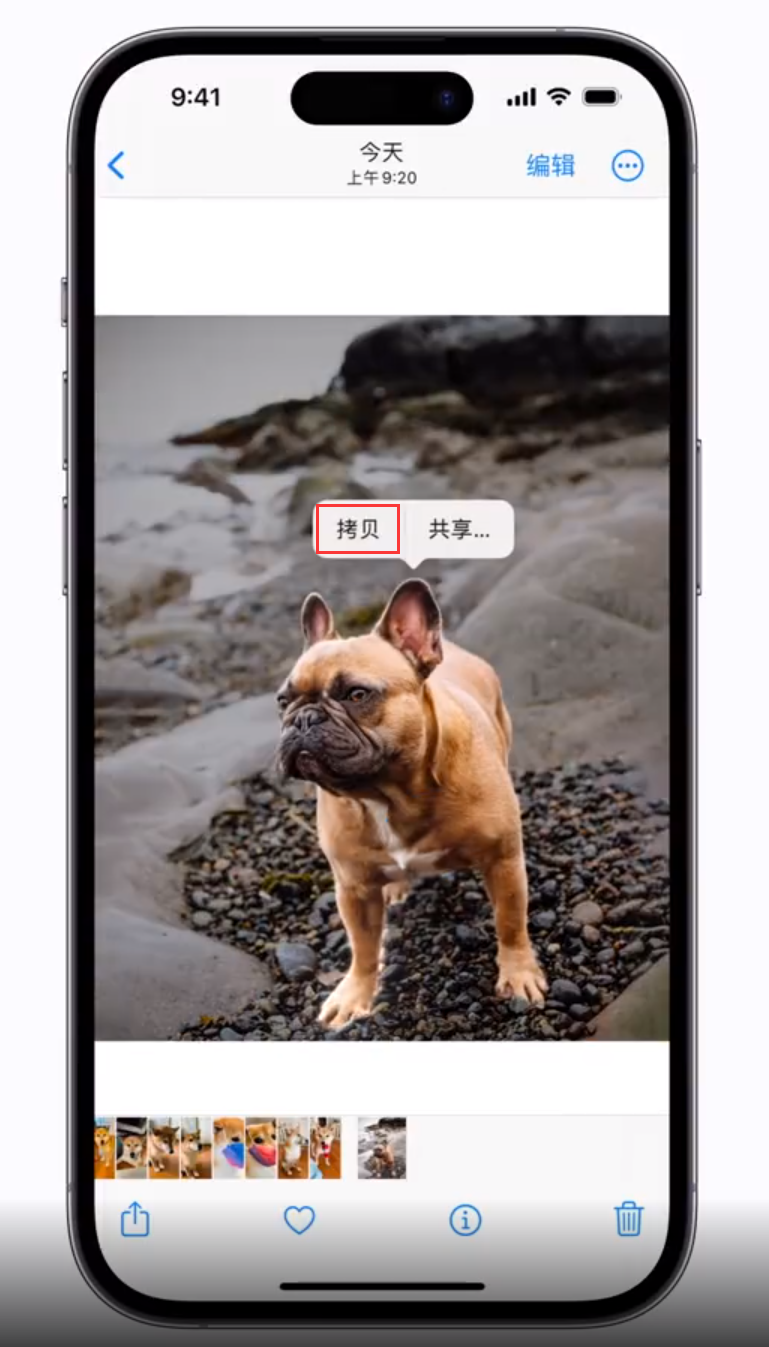 虞城苹果手机维修分享 iOS 16 自带一键抠图功能 