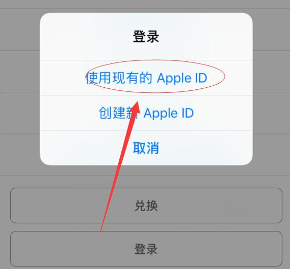 虞城苹果手机维修分享两台iPhone设备可以同时登录一个Apple ID吗 